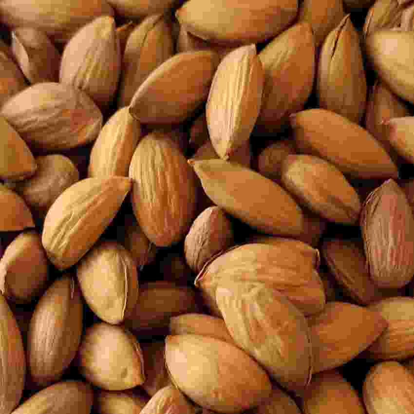 Nuts