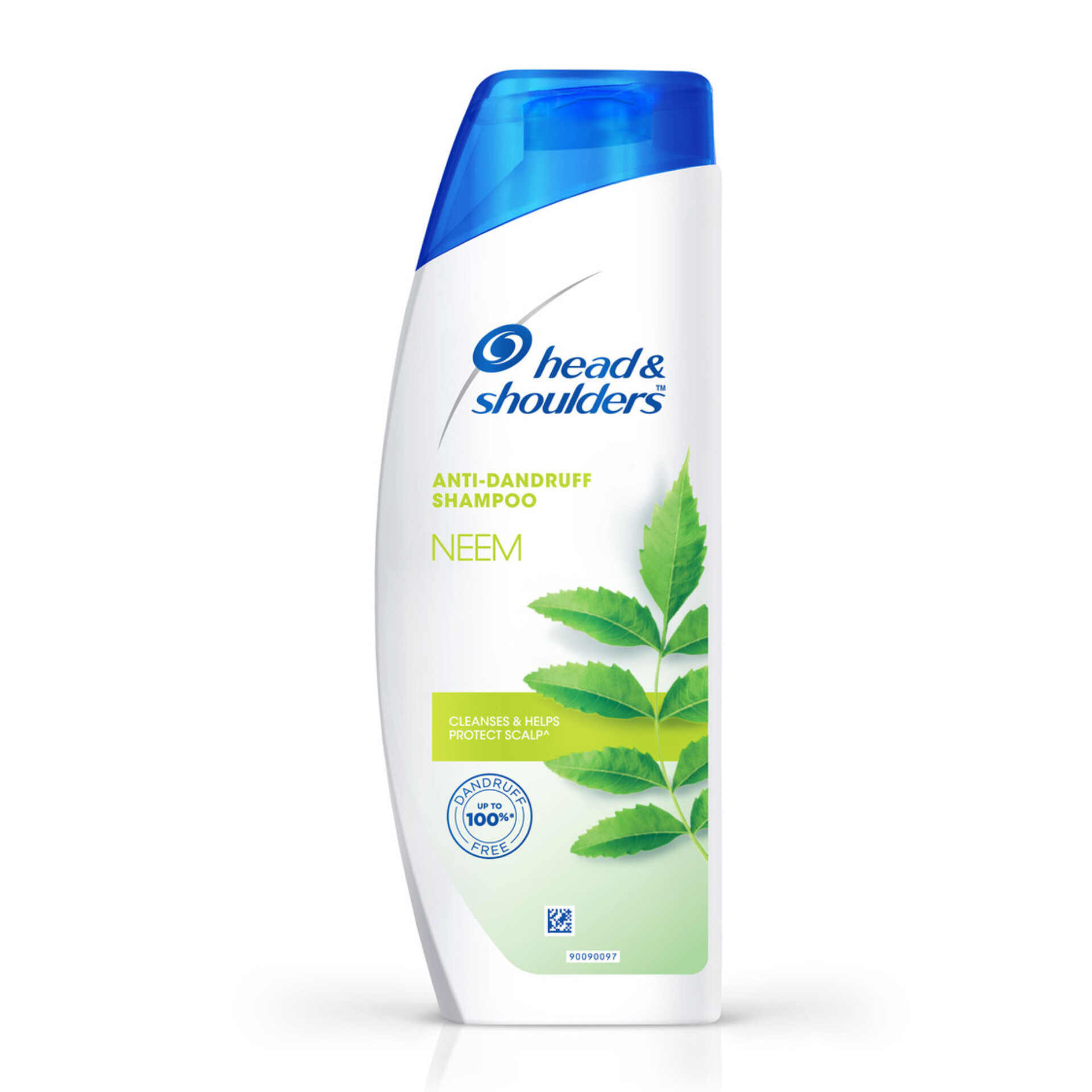 Anti Dandruff Shampoo