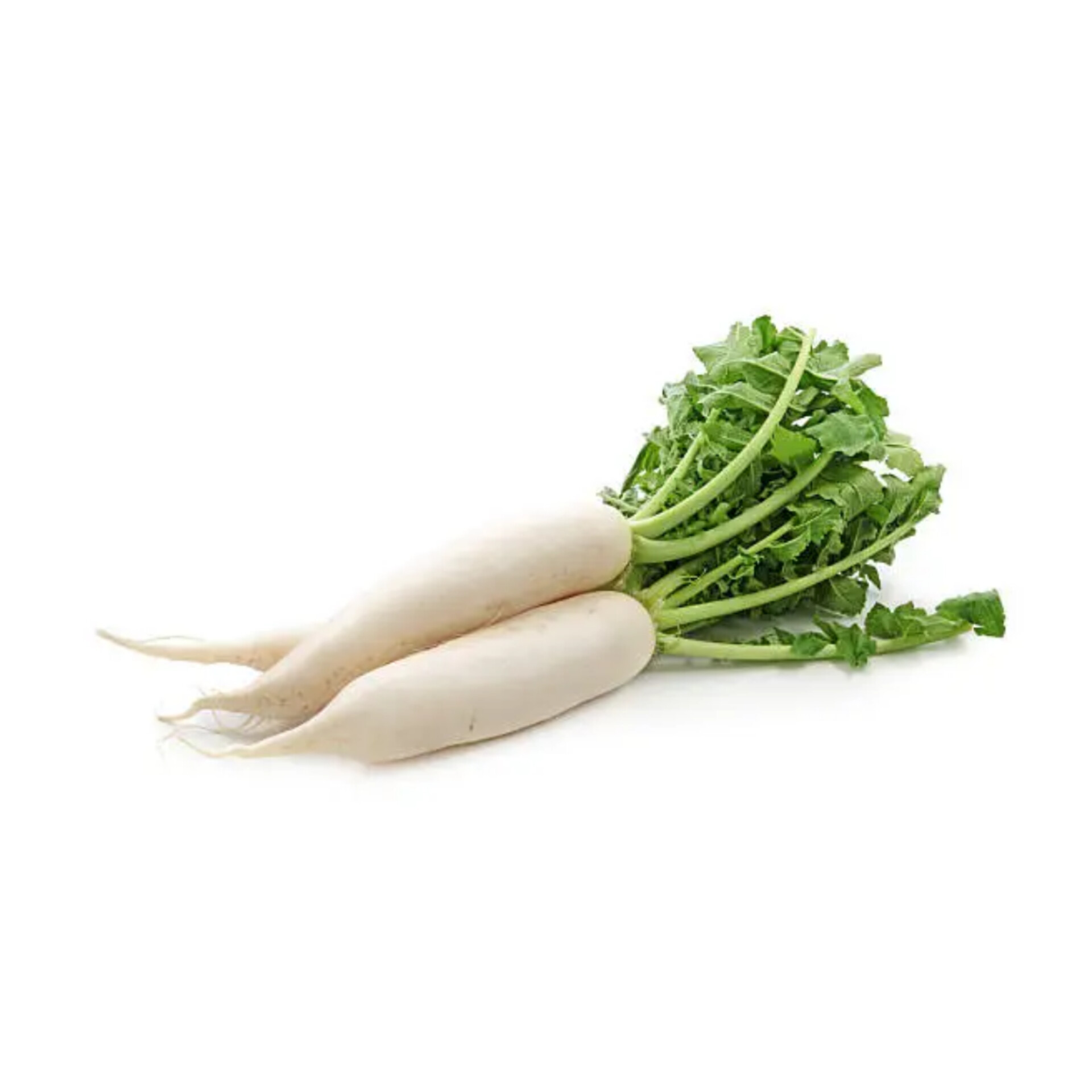 Radish